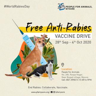 Free rabies hot sale vaccine near me